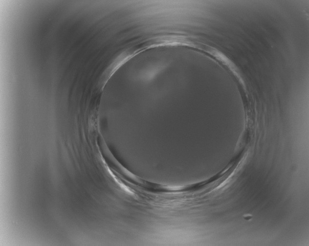 X0000067871385200604131225