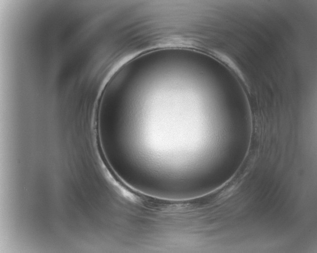 X0000067871387200604131225