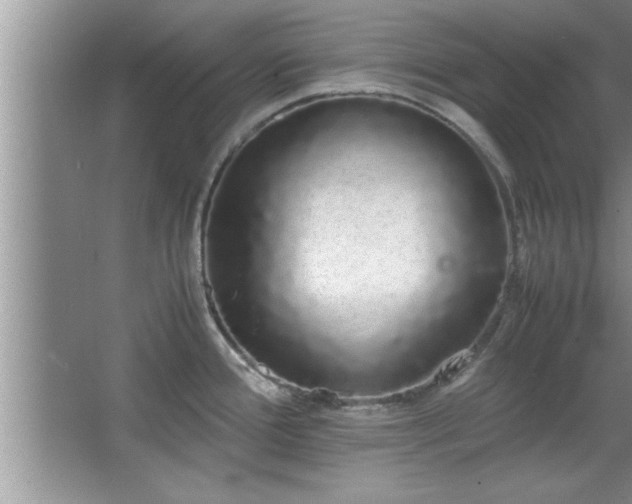 X0000067871388200604131225