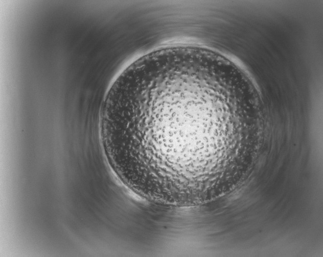 X0000067871390200604131225