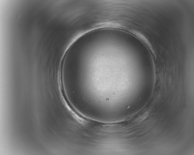 X0000067871391200604131225