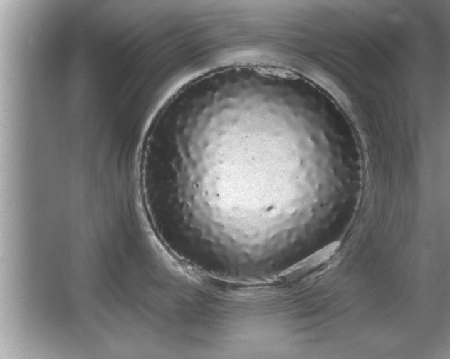 X0000067871392200604131225