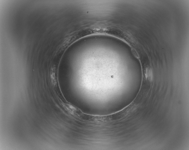 X0000067871396200604131224