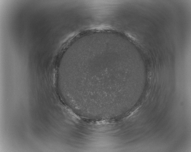 X0000067871398200604131224