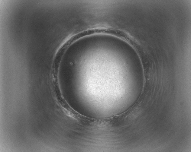 X0000067871400200604131224