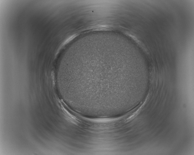 X0000067871402200604131224