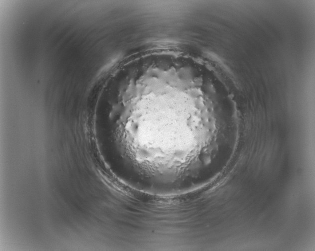 X0000067871403200604131224