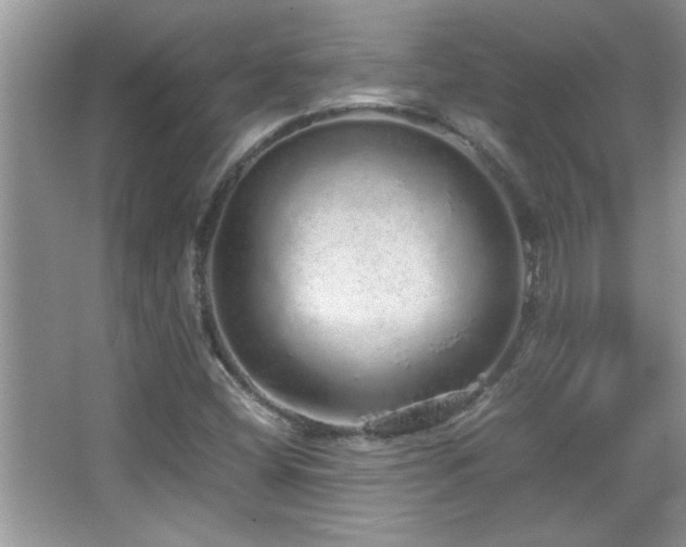 X0000067871404200604131224