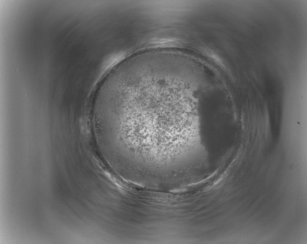 X0000067871405200604131224