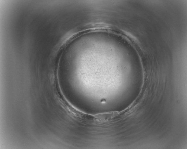 X0000067871407200604131224