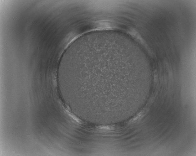 X0000067871409200604131224