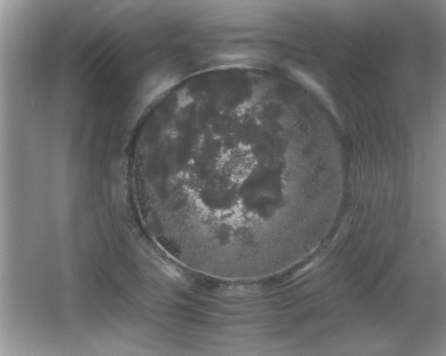 X0000067871411200604131224