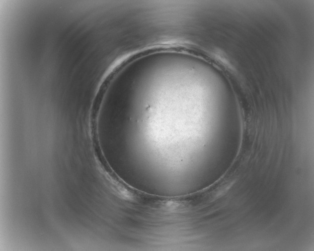 X0000067871412200604131224