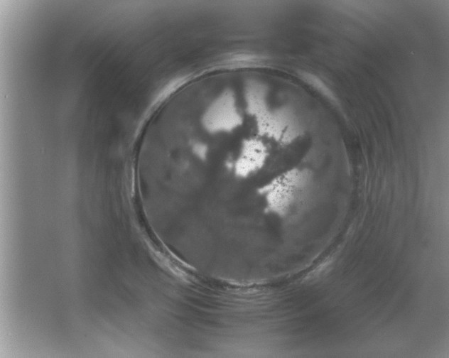 X0000067871413200604131224