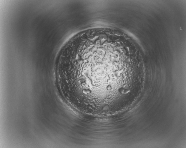 X0000067871415200604131224