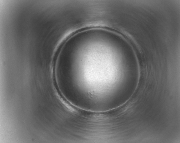 X0000067871416200604131224