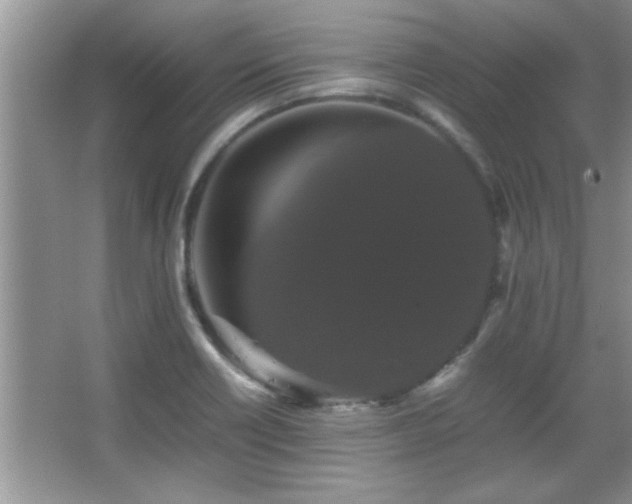 X0000067871418200604131224