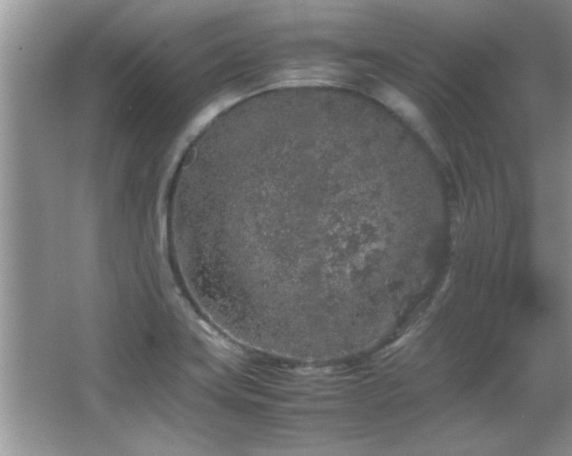 X0000067871419200604131224