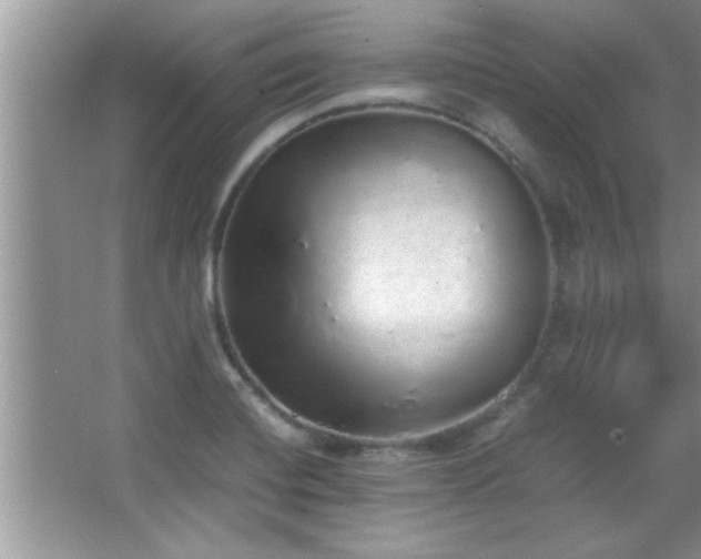 X0000067871420200604131224