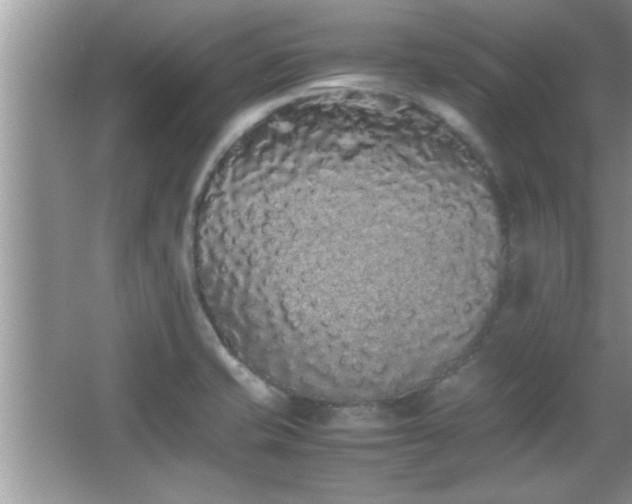 X0000067871421200604131224