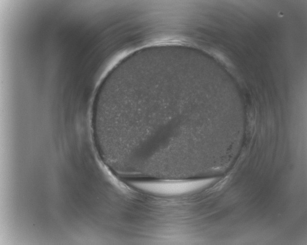 X0000067871422200604131224