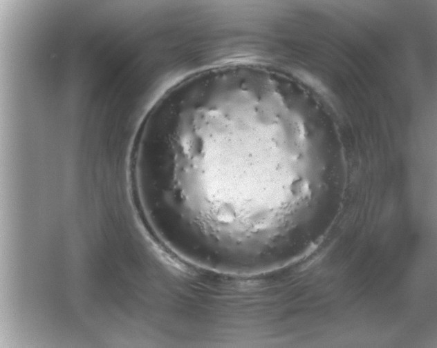 X0000067871423200604131224