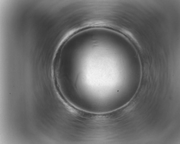 X0000067871424200604131224