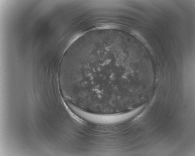 X0000067871425200604131224