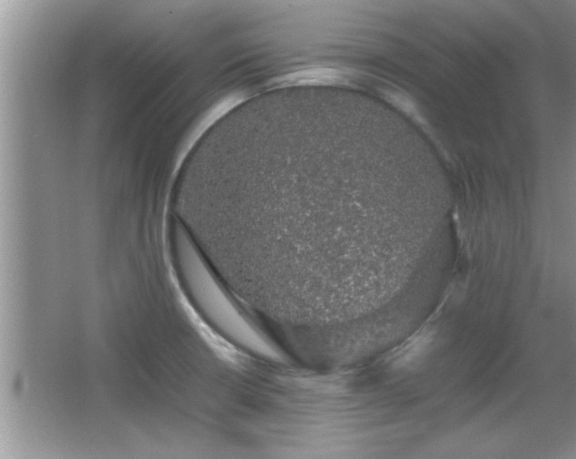 X0000067871426200604131224