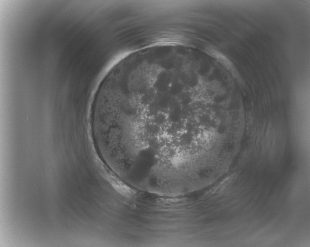 X0000067871427200604131224