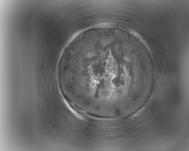 X0000067871429200604131224