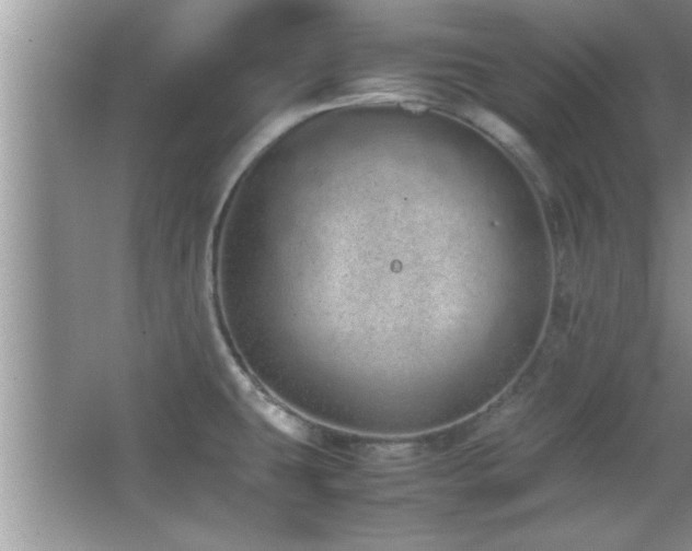 X0000067871431200604131224