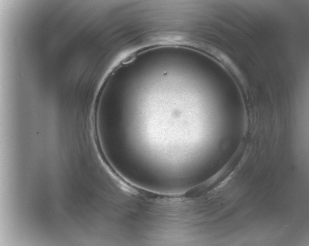 X0000067871432200604131224