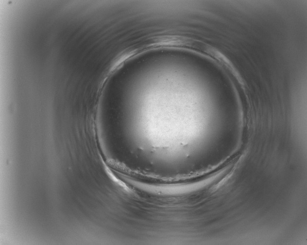 X0000067871433200604131224