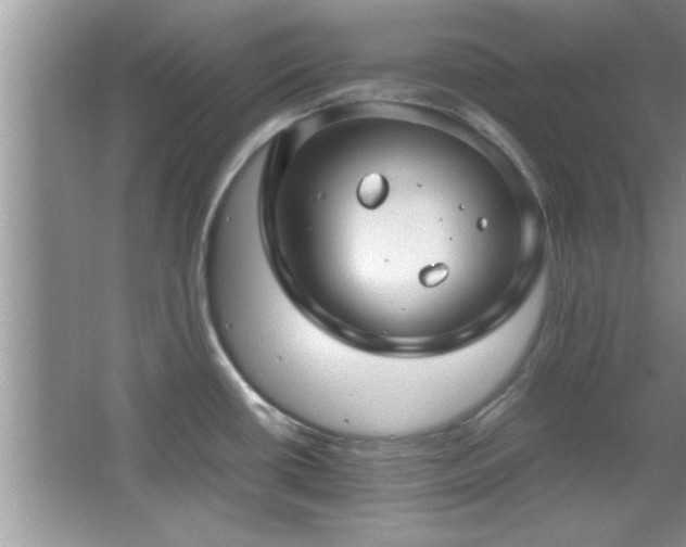 X0000067871434200604131224