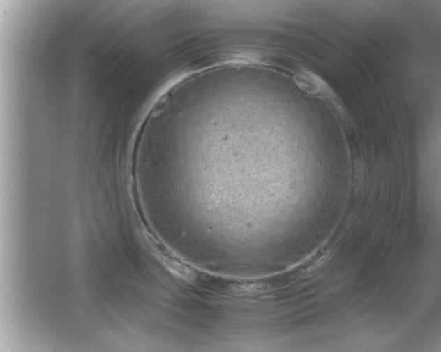 X0000067871435200604131224