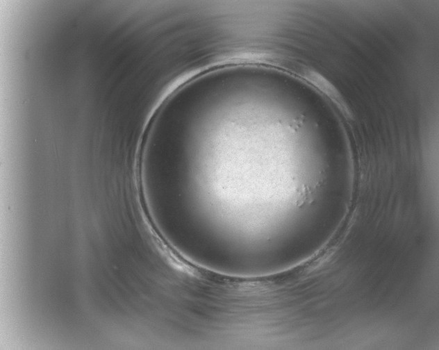 X0000067871436200604131224