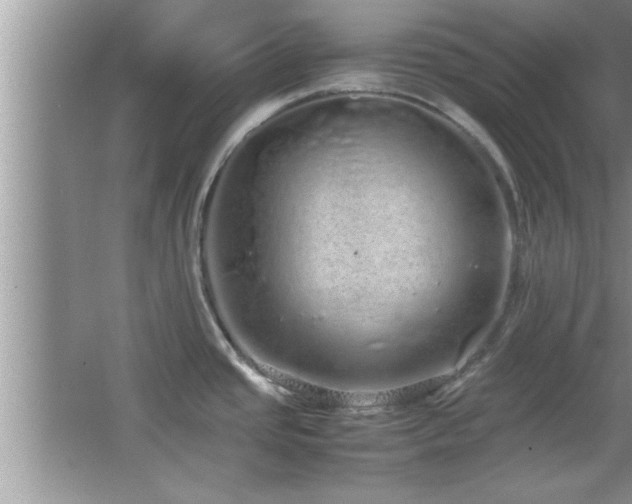 X0000067871437200604131224