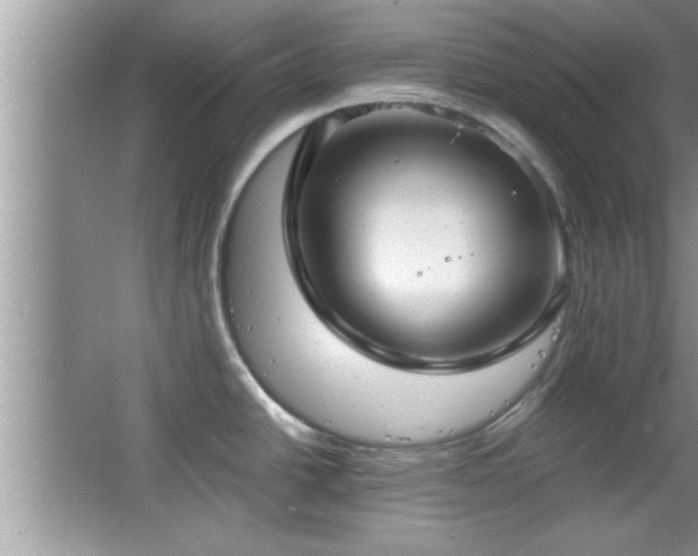 X0000067871438200604131224