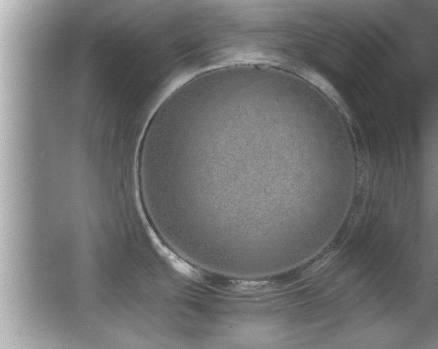 X0000067871439200604131225