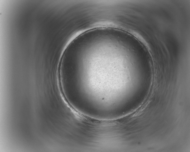 X0000067871440200604131225