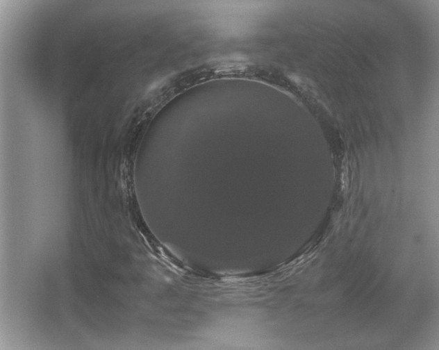 X0000067871445200604131224