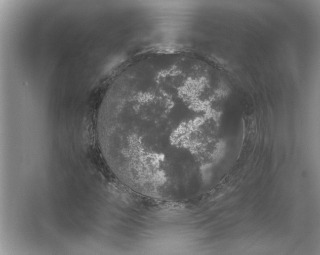 X0000067871446200604131224