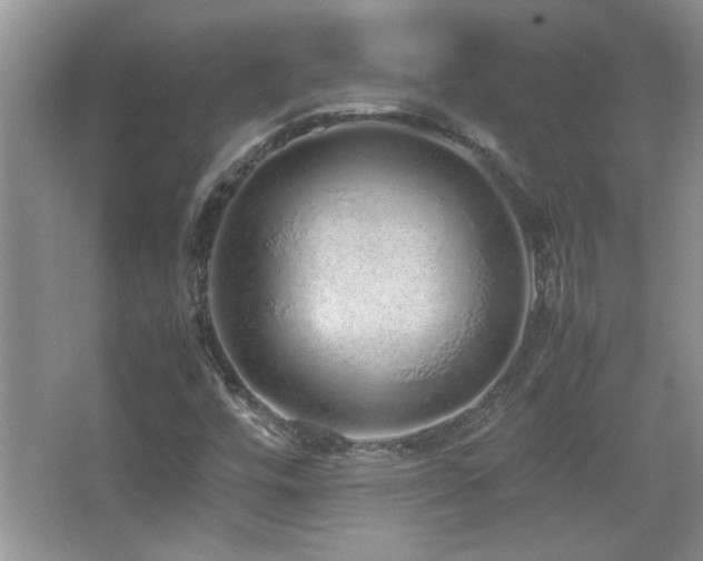 X0000067871448200604131224