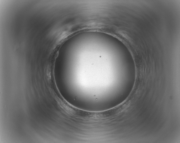 X0000067871451200604131224