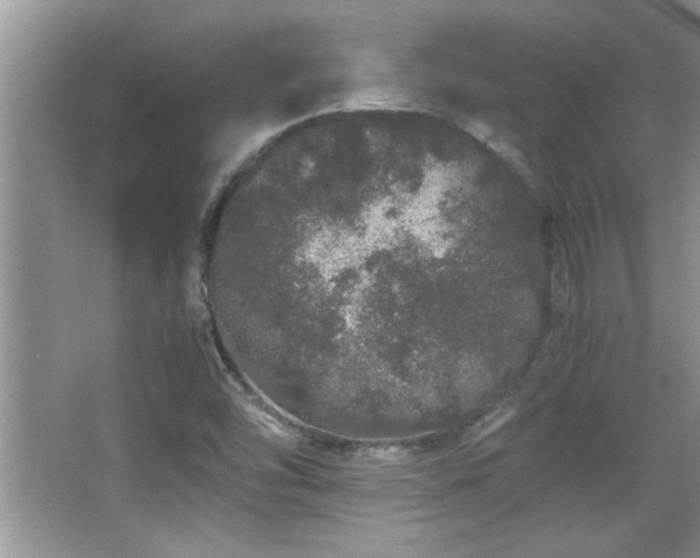 X0000067871454200604131223