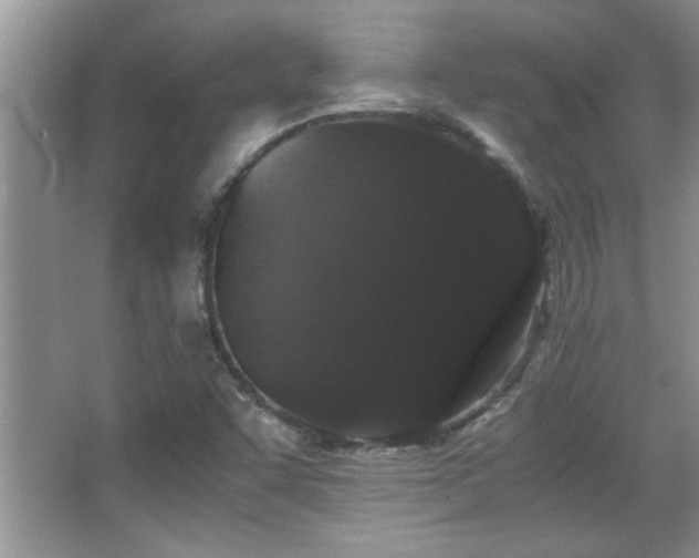 X0000067871455200604131223