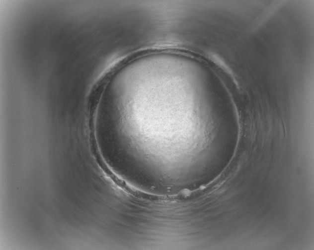 X0000067871456200604131223