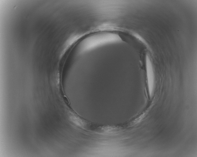 X0000067871461200604131223