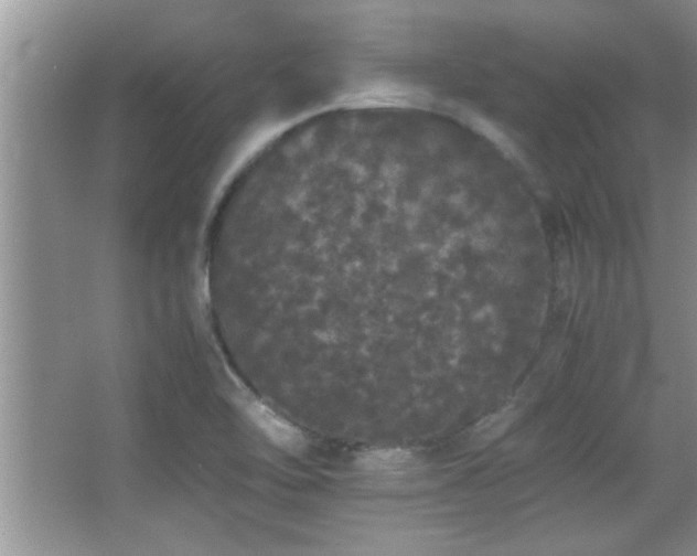 X0000067871462200604131223